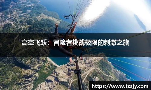 完美电竞平台